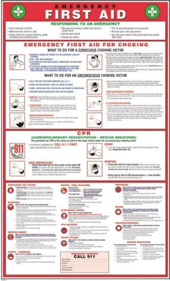 First Aid, Choking, and CPR - First American Safety