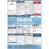 hawaii-combo-private 2026 Hawaii State and Federal Combo Labor Law Poster